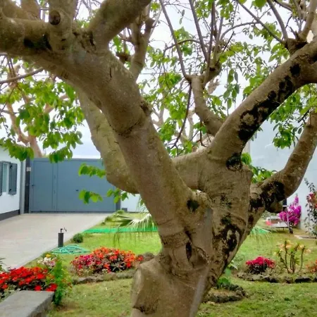 Casa de Férias Casa Belem 5