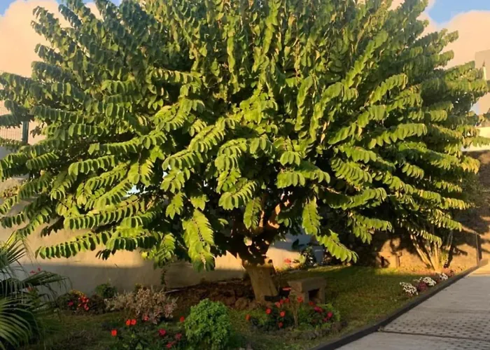 Casa de Férias Casa Belem 5 Ponta Delgada