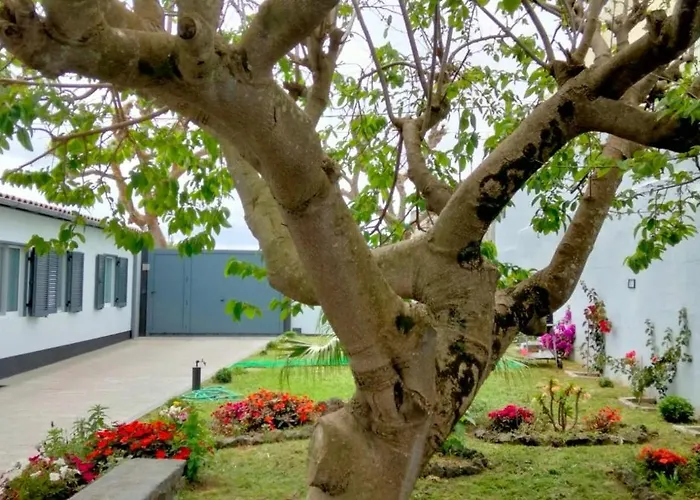 Casa de Férias Casa Belem 5